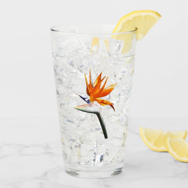 Der Vogel der tropischen Blume Orange Glas (Rückseite Ice)