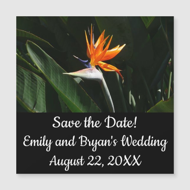 Der Vogel der tropischen Blume Orange Magnetkarte (Vorderseite)