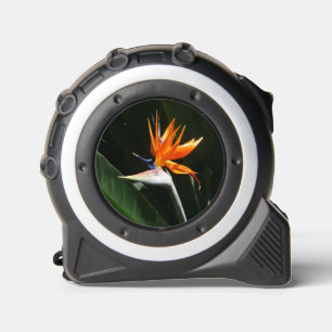 Der Vogel der tropischen Blume Orange Maßband
