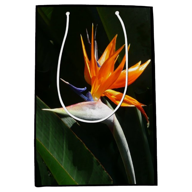 Der Vogel der tropischen Blume Orange Mittlere Geschenktüte (Vorderseite)