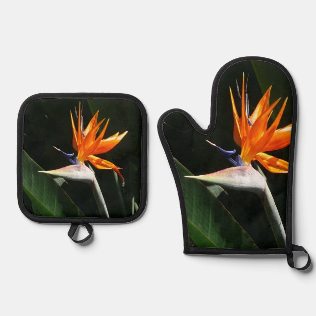 Der Vogel der tropischen Blume Orange Ofenhandschuh & Topflappen-Set (Vorderseite)