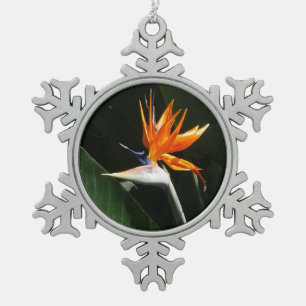 Der Vogel der tropischen Blume Orange Schneeflocken Zinn-Ornament