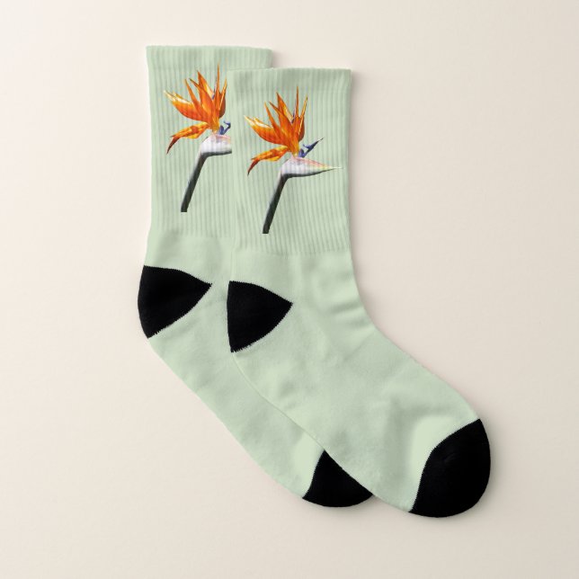 Der Vogel der tropischen Blume Orange Socken (Paar)