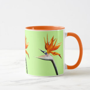 Der Vogel der tropischen Blume Orange Tasse