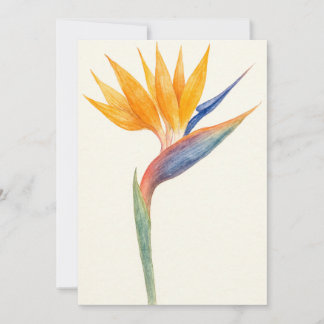 Der Vogel des Paradieses Botanische Postkarte