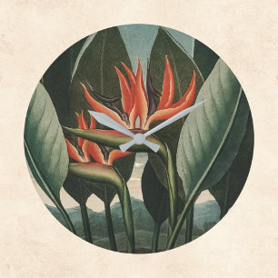 Der Vogel des Paradieses Vintager Florentiner Temp Große Wanduhr