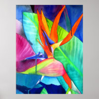 Der Vogel des Paradise Strelitzia Aquarell Blume A