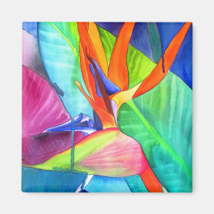 Der Vogel des Paradise Strelitzia Blume Tropische Magnet