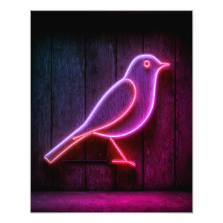 Der Vogel Fotodruck