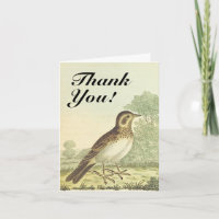 Der Vogel Stehend am Boden, "Danke!"