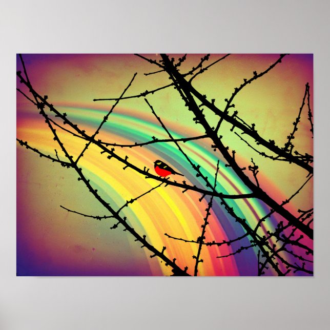 Der Vogel und der Regenbogen Poster (Vorne)