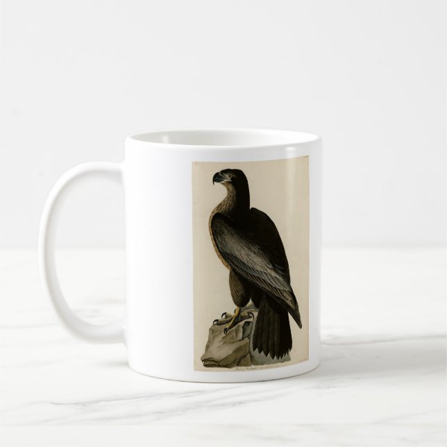 Der Vogel von Washington aus Audubons Vögeln Ameri Kaffeetasse (Links)