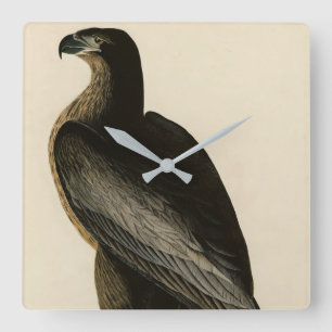 Der Vogel von Washington aus Audubons Vögeln Ameri Quadratische Wanduhr