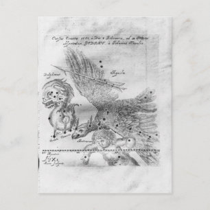 Der von Johannes entdeckte und beobachtete Komet Postkarte