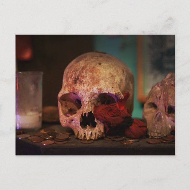 Der Voodoo Ritual Postkarte (Vorderseite)