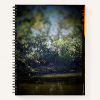 Der Vorsitz des Pond-Uni-Reglers Notizbuch