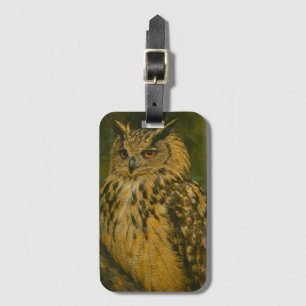 Der Wachmann - das eurasische Adleruschel im Waldl Gepäckanhänger