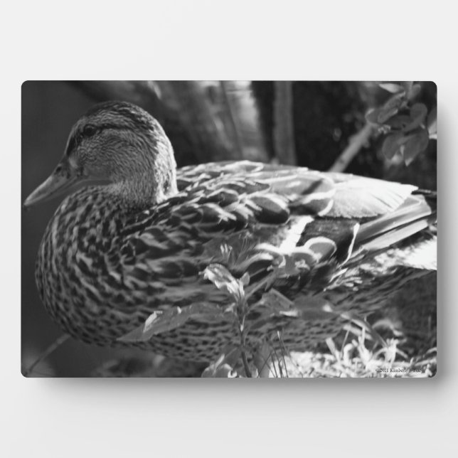 Der Wachmann Fotoplatte (Vorderseite)