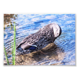 Der wachsende Effekt Fotodruck