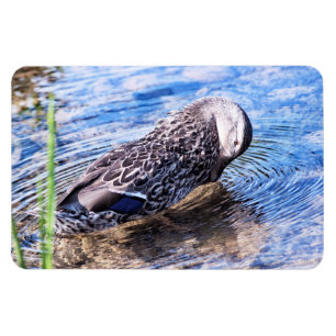 Der wachsende Effekt Magnet