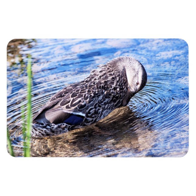 Der wachsende Effekt Magnet (Horizontal)