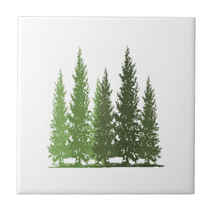 DER WACHSTUMSFAKTOR FLIESE