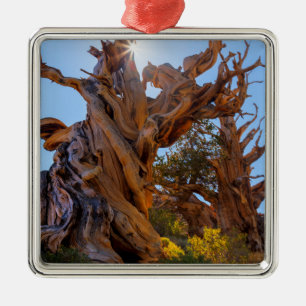 Der Wächterbaum Ornament Aus Metall