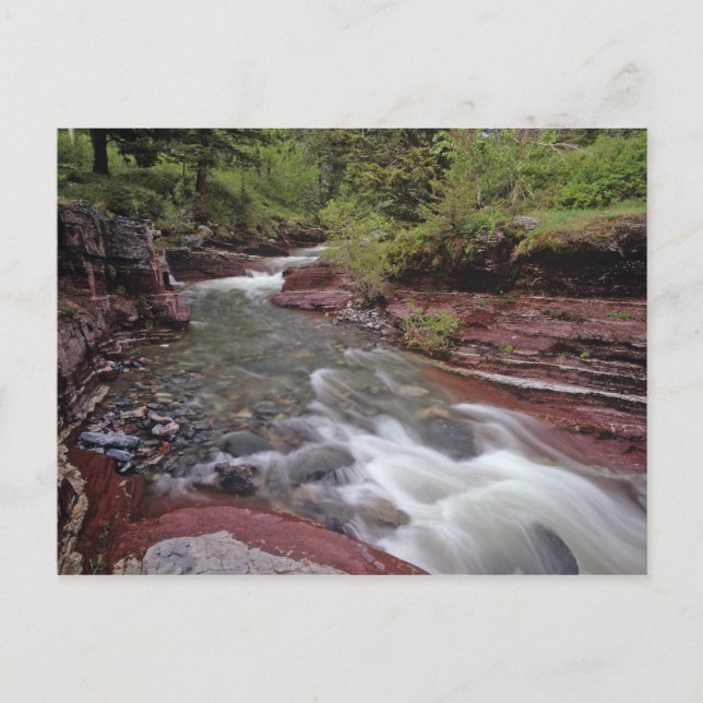 Der wahre Reichtum des Südens Postkarte (Vorderseite)