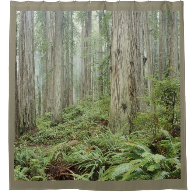 DER WALD DUSCHVORHANG (Vorderseite)