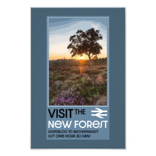 Der Wald Hampshire England Fotodruck