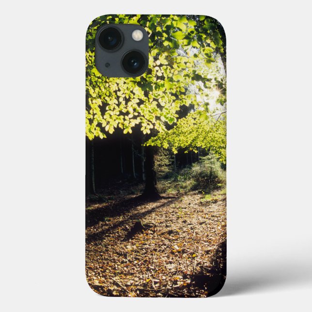 Der Wald im Frühling Case-Mate iPhone Hülle (Rückseite)