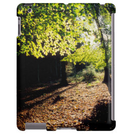 Der Wald im Frühling iPhone 13 Hülle