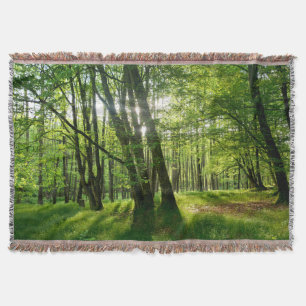 Der Wald im Frühling Decke