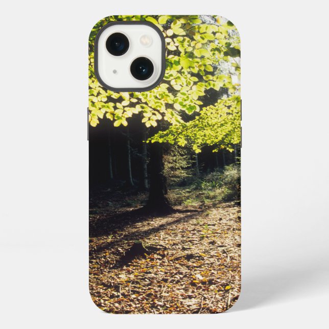 Der Wald im Frühling iPhone Hülle (Rückseite)