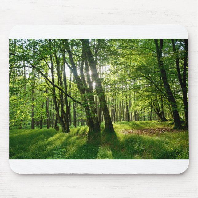 Der Wald im Frühling Mousepad (Vorne)