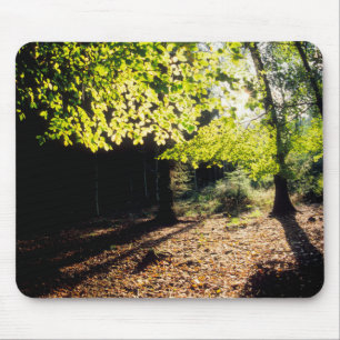 Der Wald im Frühling Mousepad