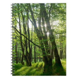 Der Wald im Frühling Notizblock