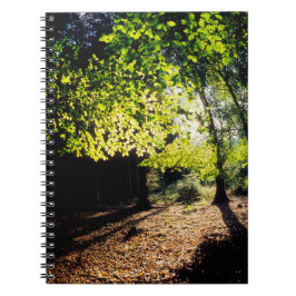 Der Wald im Frühling Notizblock