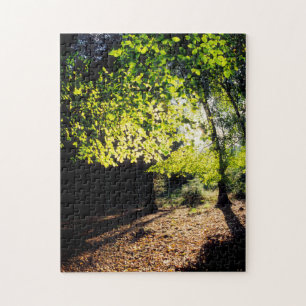 Der Wald im Frühling Puzzle