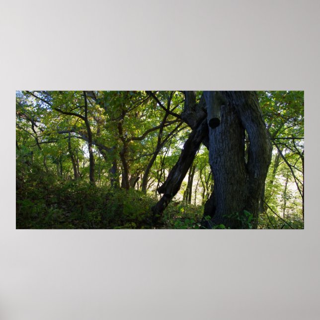 Der Wald Poster (Vorne)