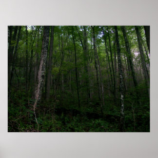 Der Wald Poster