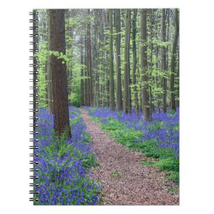 Der Wald von Halle   Halle, Belgien Notizblock