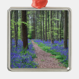 Der Wald von Halle   Halle, Belgien Ornament Aus Metall