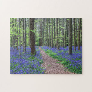 Der Wald von Halle Halle, Belgien Puzzle