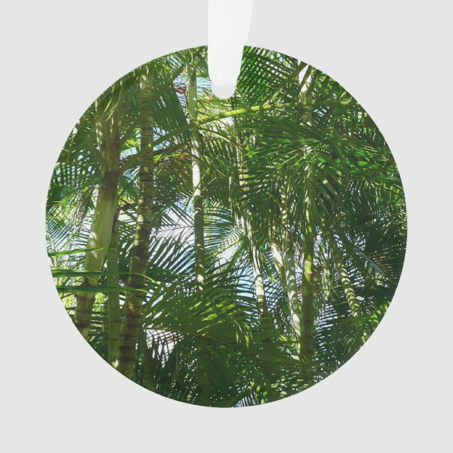 Der Wald von Palmen tropische Natur Ornament (Vorderseite)
