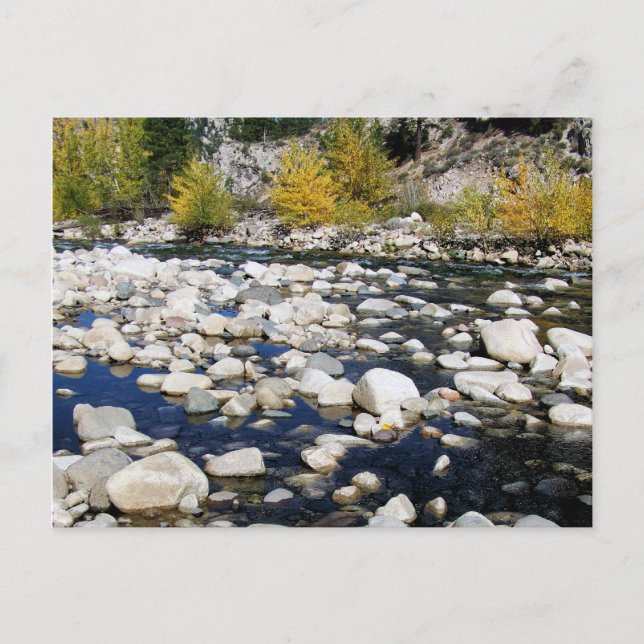 Der Walker River im Herbst Postkarte (Vorderseite)