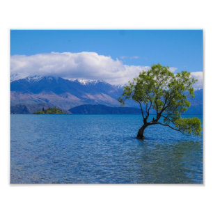 Der Wanaka Baum, See Wanaka, NZ - Foto-Druck Fotodruck