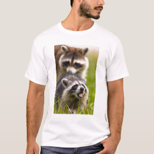 Der Waschbär, Procyon lotor, ist ein weit verbreit T-Shirt