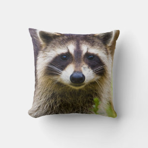 Der Waschbär, Procyon lotor Kissen