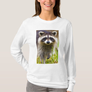 Der Waschbär, Procyon lotor T-Shirt